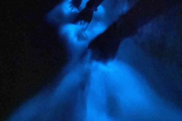 Puerto Escondido Bioluminescent Night Tour at Manialtepec Lagoon photo 6