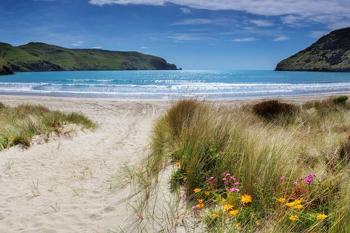 Akaroa Electric Scooter Tour: Self-Guided Coastal Ride on Banks Peninsula photo 3