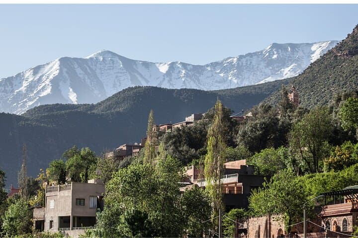 Ourika Valley Day Trip from Marrakech: Setti Fatma Waterfalls & Berber Villages