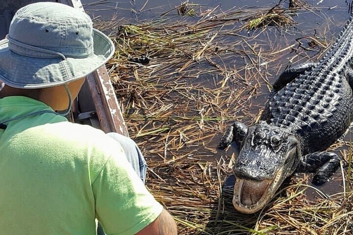 Everglades to Dry Tortugas: Ultimate 5-Day National Parks Expedition photo 3
