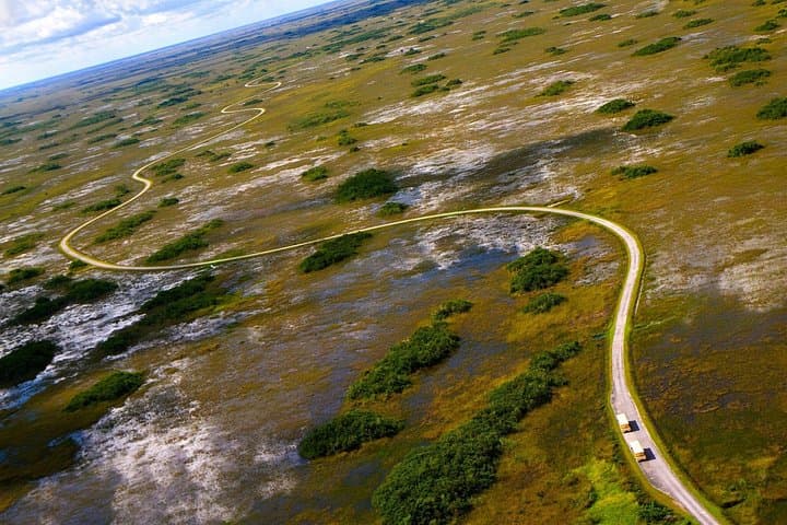 Everglades Airboat Ride & Naturalist Walk — Private Tour from Miami photo 4