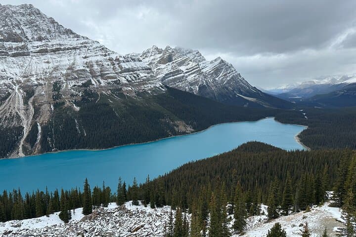 One-Day Rockies Loop: Lake Louise, Peyto & Minnewanka from Calgary