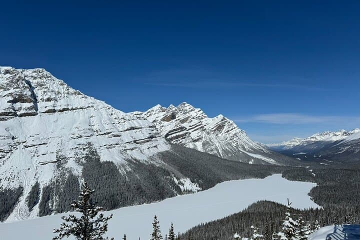 One-Day Rockies Loop: Lake Louise, Peyto & Minnewanka from Calgary photo 4