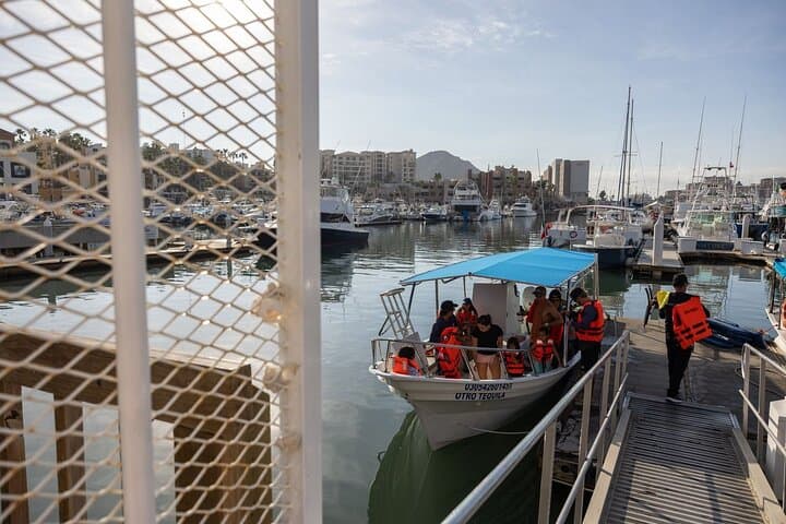 Cabo San Lucas Snorkel Adventure: Photos at the Arch & Pelican Rock Excursion photo 2