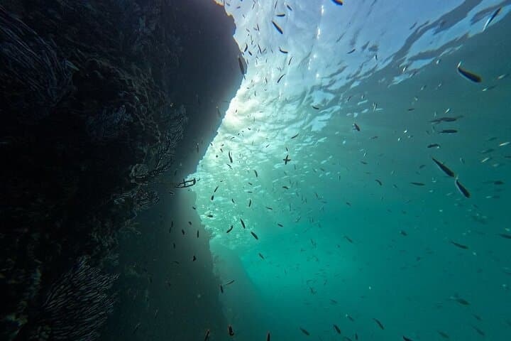 Cabo San Lucas Snorkel Adventure: Photos at the Arch & Pelican Rock Excursion photo 4