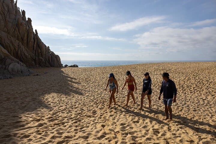 Cabo San Lucas Snorkel Adventure: Photos at the Arch & Pelican Rock Excursion photo 5