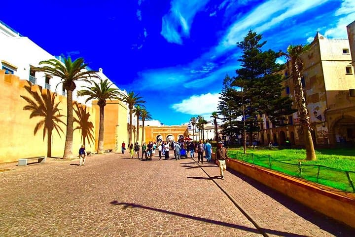 Essaouira Day Tour from Marrakech: Argan Cooperative, Atlantic Views & Medina Walk photo 1