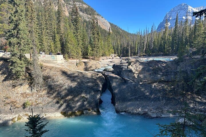 Day Trip to Emerald Lake, Lake Minnewanka & Natural Bridge — Banff Highlights from Calgary photo 2