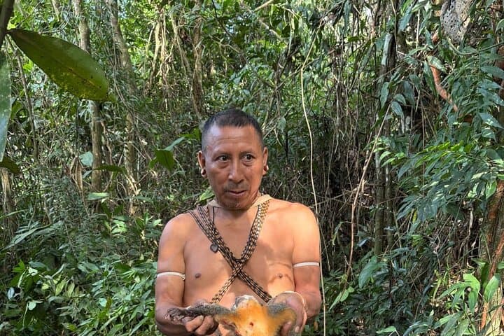 Amazon Water World: 3-Day Matis Tribal Immersion from Leticia photo 2