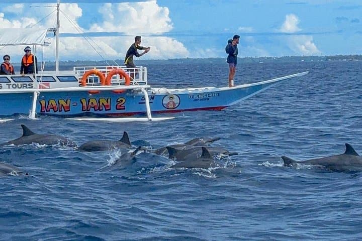 Balicasag Island Day Tour: Dolphin Watching, Turtle Snorkel & Island Beach Party photo 2