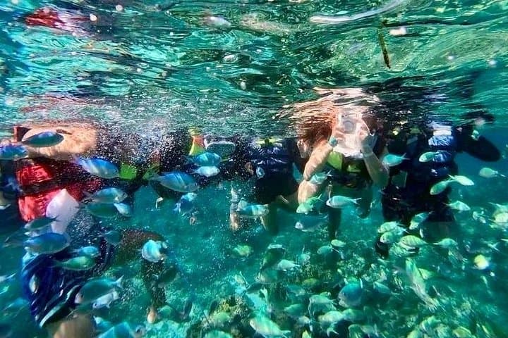 Balicasag Island Day Tour: Dolphin Watching, Turtle Snorkel & Island Beach Party photo 4