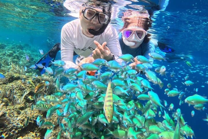 Balicasag Island Day Tour: Dolphin Watching, Turtle Snorkel & Island Beach Party photo 6