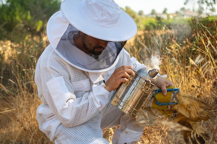 Algarve Beekeeping Experience: Honey Tasting & Traditional Apiary Visit photo 6