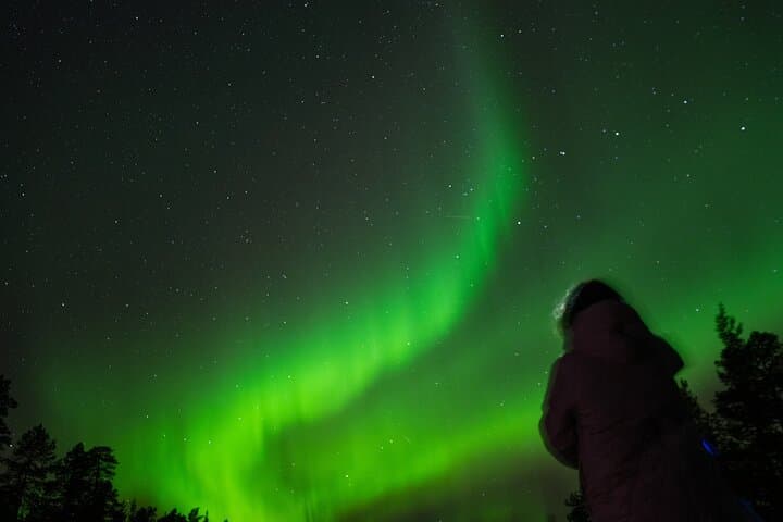 Aurora Minivan Tour: Northern Lights Chase in Ivalo, Inari & Saariselkä photo 6