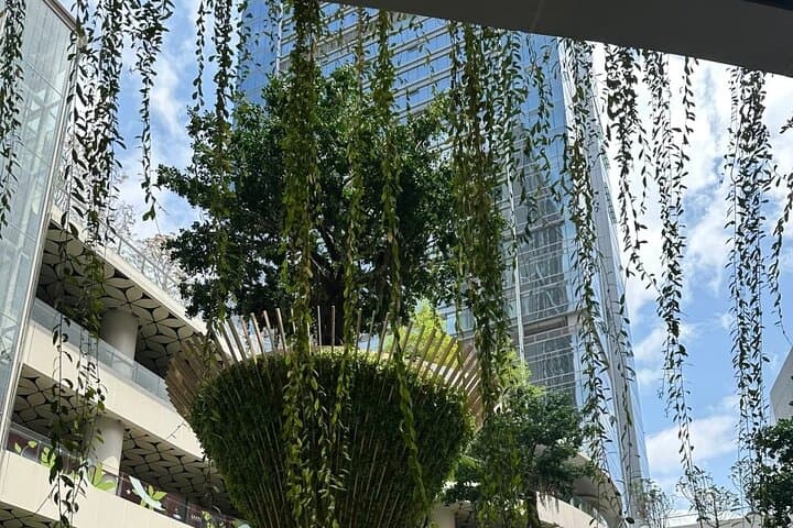 Experience Shenzhen Like a Local: Full-Day Cultural Tour Beyond the Tech Hubs photo 4