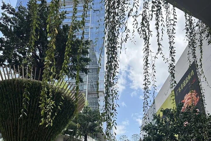Experience Shenzhen Like a Local: Full-Day Cultural Tour Beyond the Tech Hubs photo 5