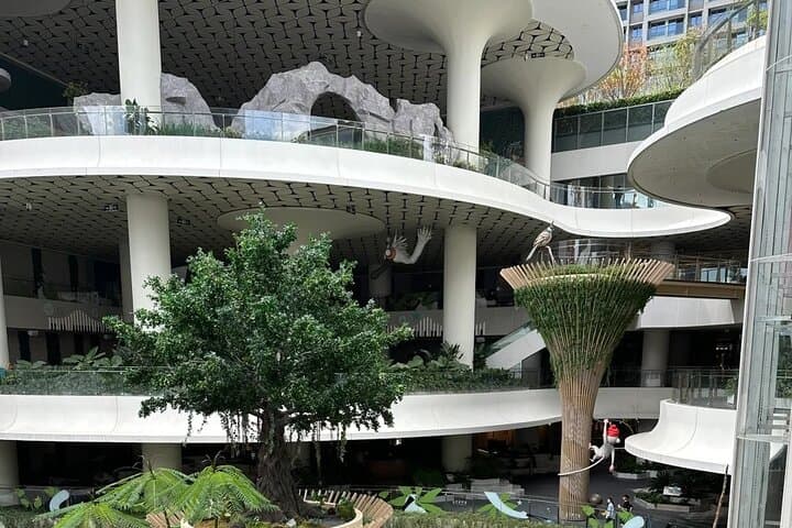 Experience Shenzhen Like a Local: Full-Day Cultural Tour Beyond the Tech Hubs photo 6