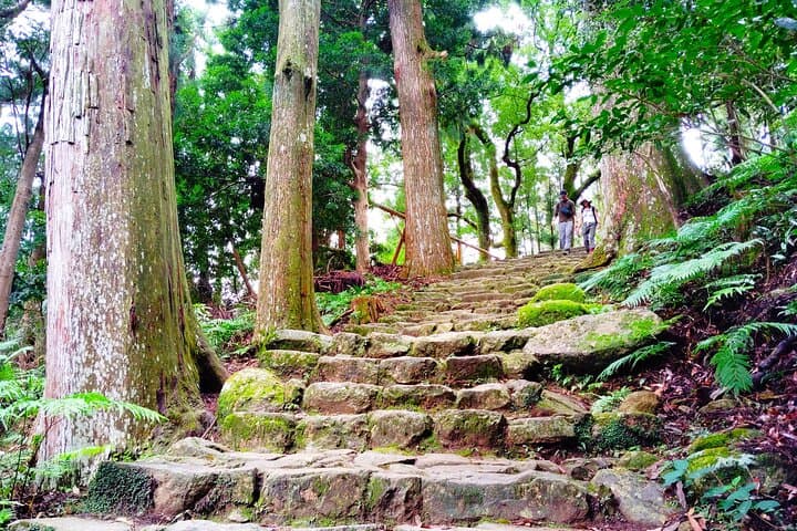 Kumano Nachi Taisha & Nachi Waterfall Pilgrimage — Seiganto-ji Day Tour, Wakayama photo 3