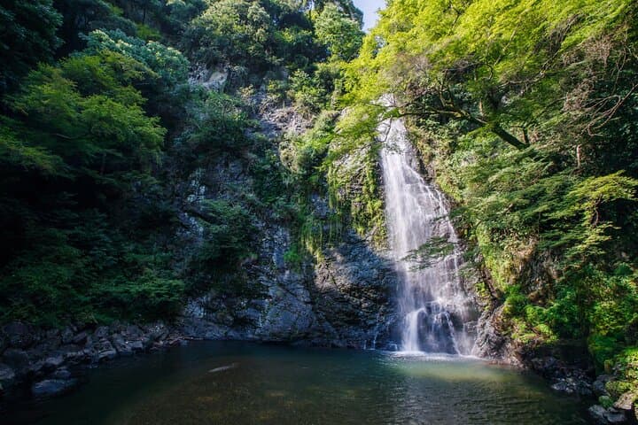Minoh Waterfall Nature Walk and Minoh Beer Tasting — Osaka Day Hike photo 5