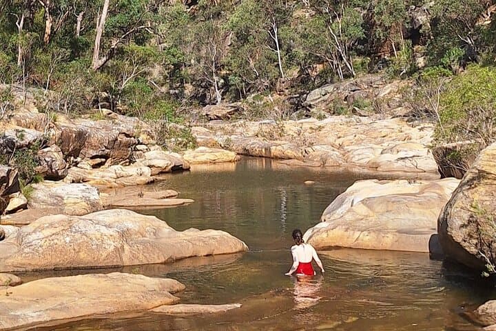 Glenbrook Gorge Eco Walk: 3-Hour Guided Blue Mountains Tour from Sydney photo 3