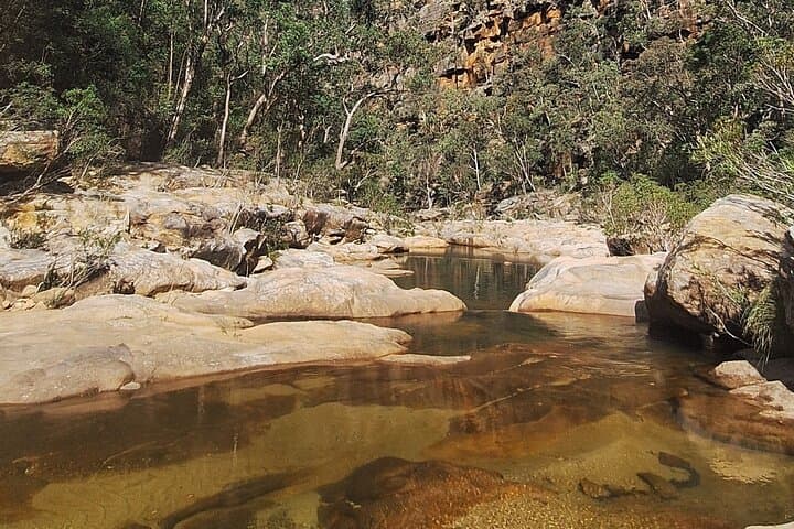 Glenbrook Gorge Eco Walk: 3-Hour Guided Blue Mountains Tour from Sydney