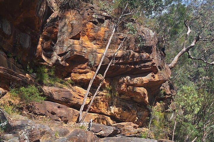 Glenbrook Gorge Eco Walk: 3-Hour Guided Blue Mountains Tour from Sydney photo 4