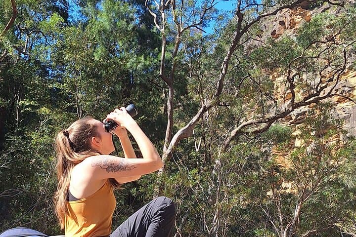 Glenbrook Gorge Eco Walk: 3-Hour Guided Blue Mountains Tour from Sydney photo 5