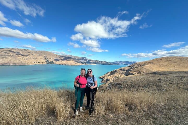 Godley Head Half-Day Guided Walk — Banks Peninsula Coastal Views & WW2 Sites
