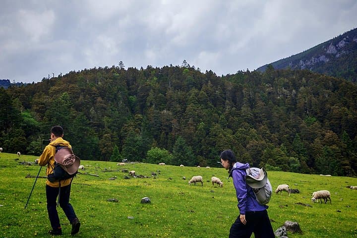 3-Day Haba Village to Tiger Leaping Gorge: High-Altitude Hike Through Rhododendron Valleys