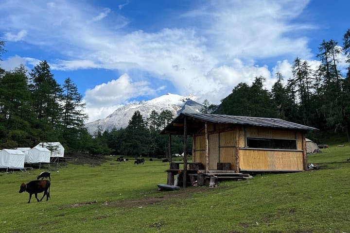 3-Day Haba Village to Tiger Leaping Gorge: High-Altitude Hike Through Rhododendron Valleys photo 3