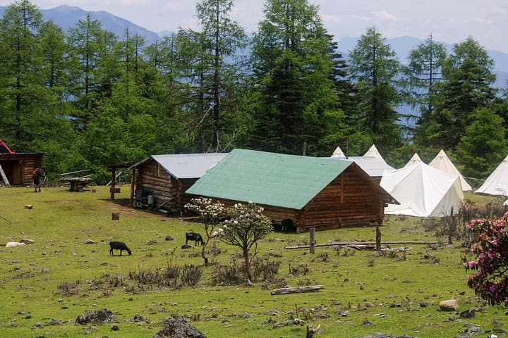 3-Day Haba Village to Tiger Leaping Gorge: High-Altitude Hike Through Rhododendron Valleys photo 4