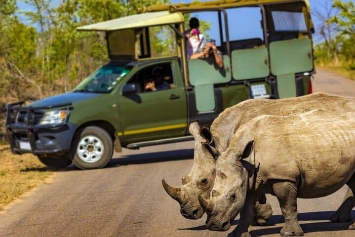 Tala Game Reserve, Phezulu Safari Park & Victoria Market Day Tour from Durban