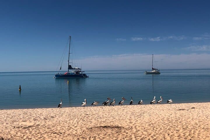 10-Day Perth to Exmouth Coastal and Outback Adventure