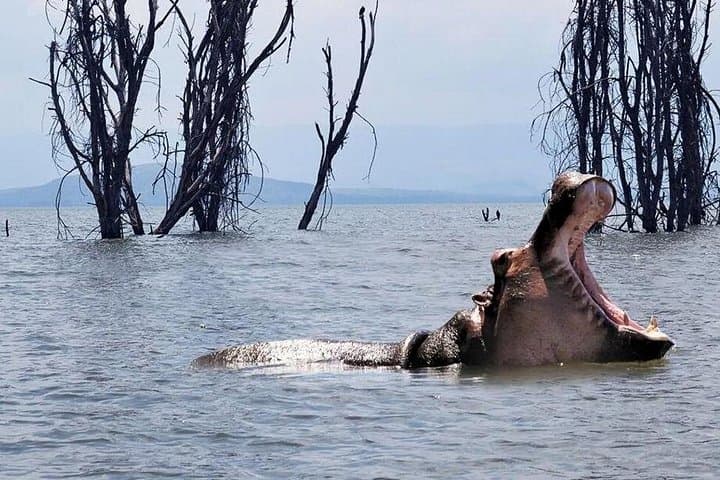 Full-Day Hells Gate Bike and Lake Naivasha Boat Trip from Nairobi photo 1