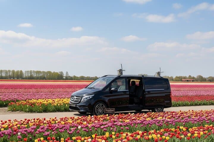 Luxury Keukenhof Private Tour with Canal Cruise & Tulip Experience photo 4