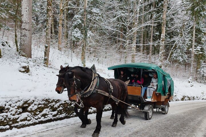 Neuschwanstein Castle Winter Day Trip from Munich — Skip-the-Line Bus Tour & Christmas Markets photo 4