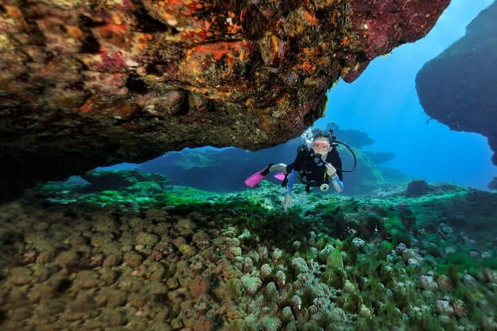 Hurghada Intro Scuba Diving & Snorkeling Day Trip — Red Sea Reefs for Beginners photo 3