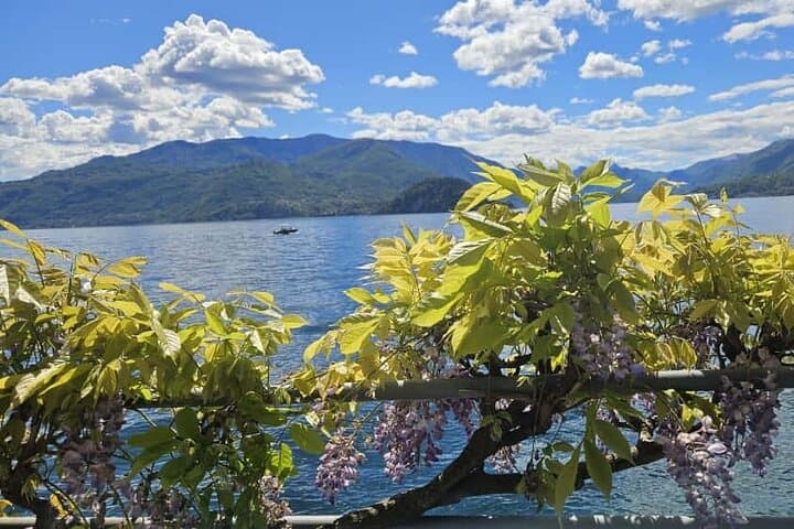Full-Day Lake Como Tour from Milan: Varenna, Bellagio & Como by Ferry photo 4
