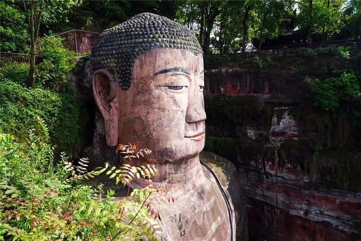 Chengdu Panda Base & Leshan Giant Buddha Day Trip — Panda Viewing and Ancient Cliff Carving photo 3
