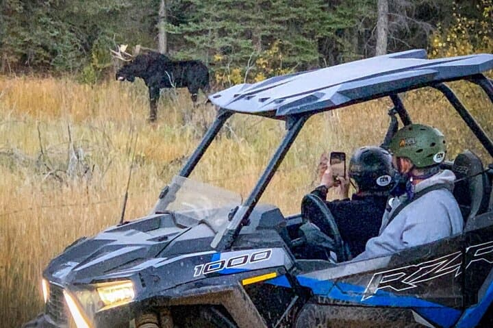 4‑Hour Self‑Guided UTV Adventure on Pike National Forest’s North Divide photo 4