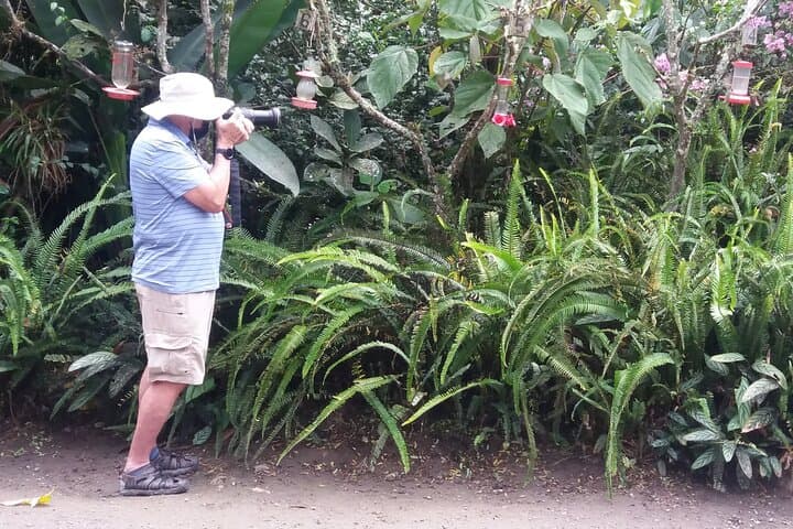 Mindo & Mitad del Mundo Full-Day: Cloudforest Waterfalls, Hummingbirds & Equator Line photo 3