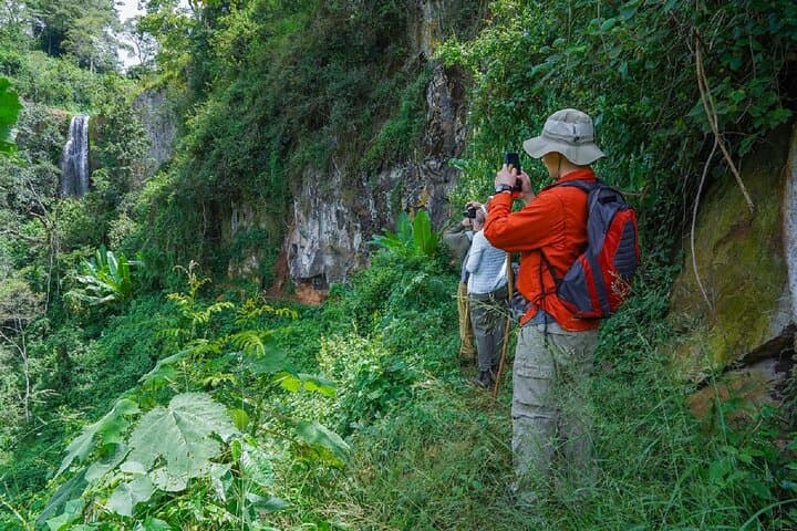 Endoro Falls and Forest Trail — Karatu’s Waterfall Hike and Cultural Coffee Visit photo 2