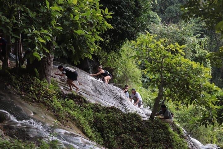 Dantewada & Bua Tong Sticky Waterfall Day Trip from Chiang Mai