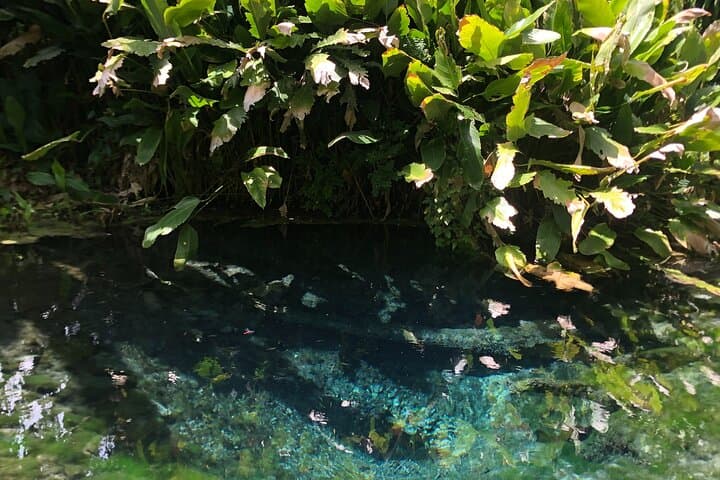 Dantewada & Bua Tong Sticky Waterfall Day Trip from Chiang Mai photo 2