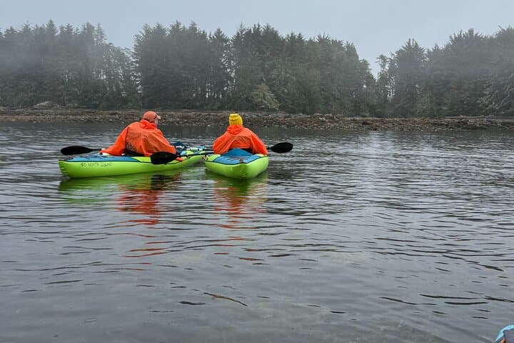 Keogh River Bear Kayaking — Paddle with Black Bears on Vancouver Island photo 6