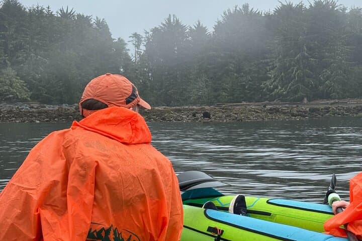 Keogh River Bear Kayaking — Paddle with Black Bears on Vancouver Island photo 2