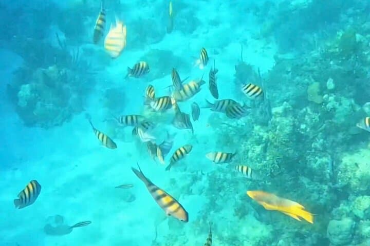 Private Nassau Boat Charter: Snorkel Reefs, Beaches & Island Bars photo 4