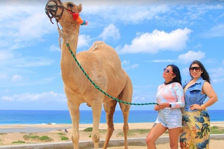 Camel Beach Ride in Los Cabos — Desert Safari, Beach Trek & Tequila Tasting photo 3