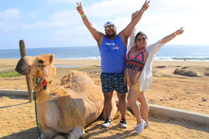 Camel Beach Ride in Los Cabos — Desert Safari, Beach Trek & Tequila Tasting photo 2