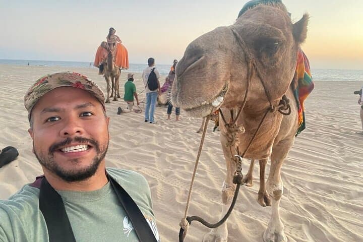 Pick 2 Adventure Combo in Cabo: ATV, RZR, Horseback & Snorkel
